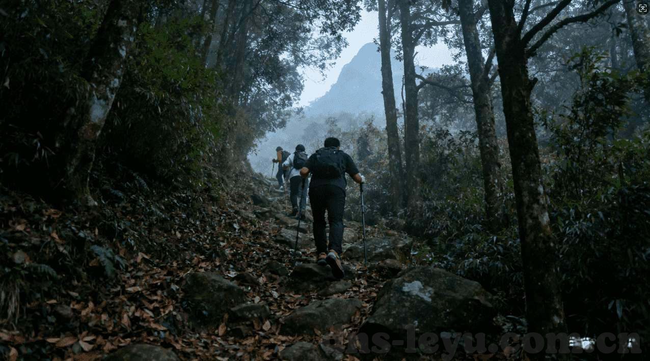抢庄牛牛赢钱软件-抢庄牛牛赢钱软件的策略与实践